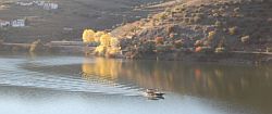 Regua Pinhao - River Douro Cruise