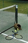 Tennis court - Quinta de Monteverde Viana do Castelo Portugal