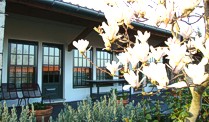 Casa de Santo Antonio de Britiande - Lamego - Accommodation