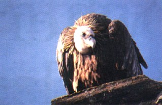 Natural Park of Serra de S. Marmede