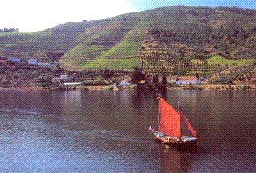 Cruise on the Douro
