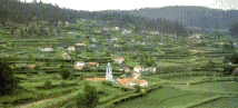 Picture of terraces