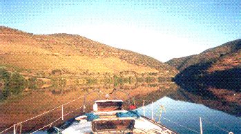 Cruise on the Douro