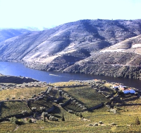 Portugal - Douro Valley