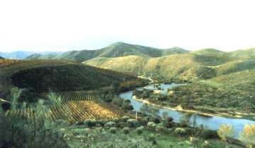 World Heritage Site - Prehistoric site - Foz Coa - North Portugal