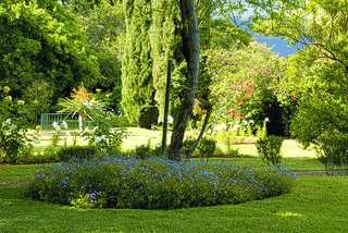 garden